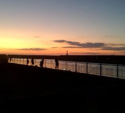 夕まずめアジ入れ食い