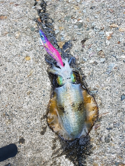 数おおすぎーーーー！