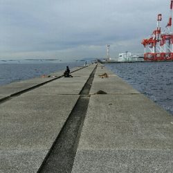 神戸沖堤調査No1