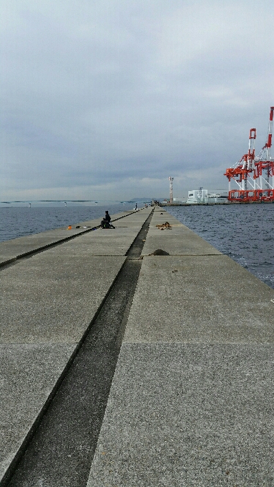 神戸沖堤調査No1