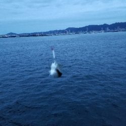 メタルジャッカー