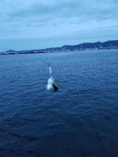 メタルジャッカー