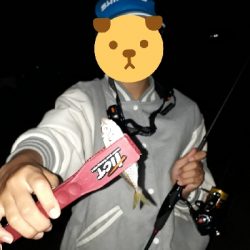 末っ子とナイトアジング