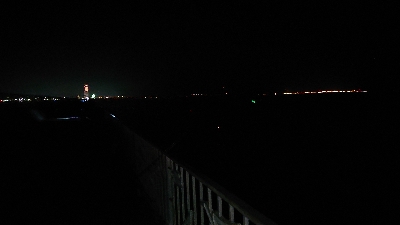 青物気配なし…