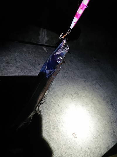 淡路島縦断！刀狩り