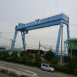 初サゴシだって