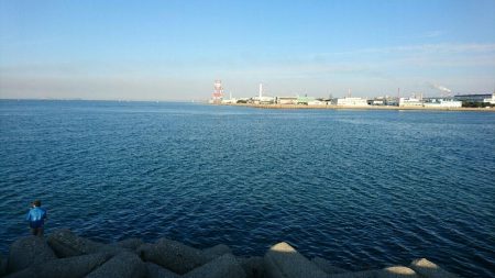 今日もサゴシだって