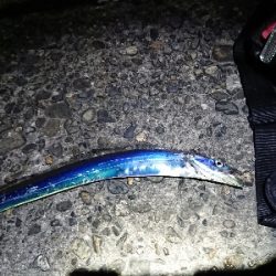 ちょこっと刀狩り