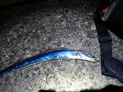 ちょこっと刀狩り