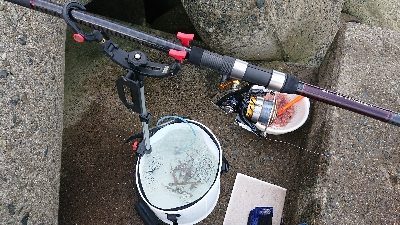 やっぱりあかん