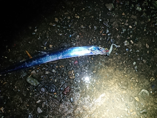 ツ抜けするまでにかえれま10