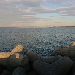 太刀魚居ません❗