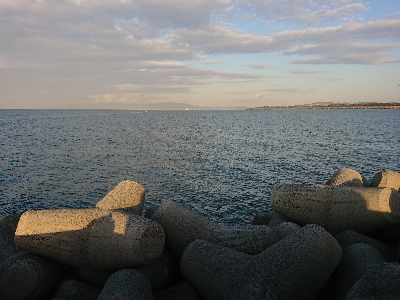 太刀魚居ません❗