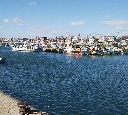 投げ釣りでハゼ