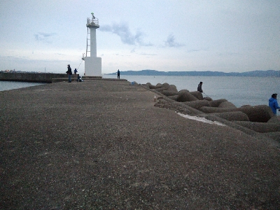 メジロ！激重！！！