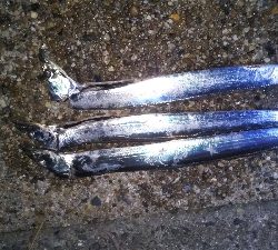 少しずつサイズアップ！