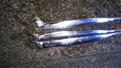 少しずつサイズアップ！