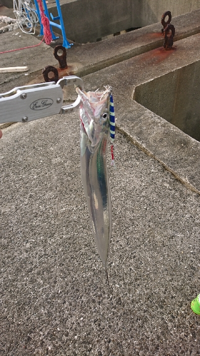 ノマセが強いのか！？