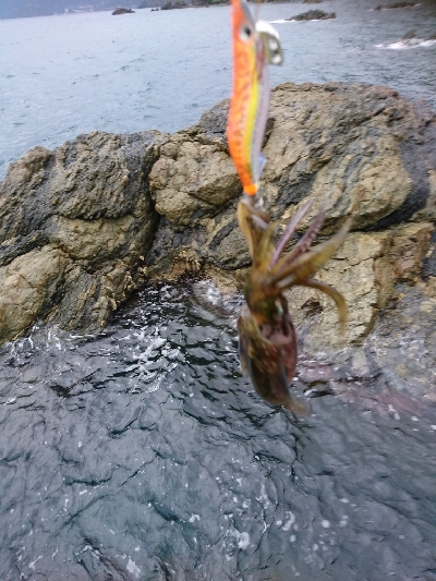 どこも人だらけ