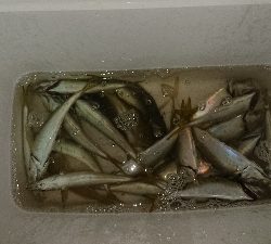 マメージングからの解放