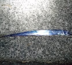 ヒラスズキ・タチウオ