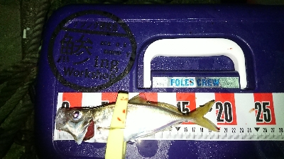 アジングいまいち