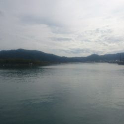 チョイ投げ釣り ヒョウダイ、チヌ