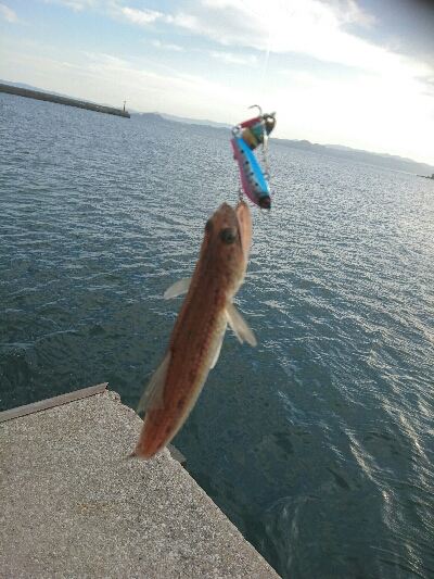 今日の釣果