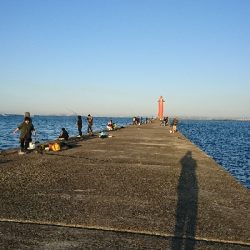 サゴシさんお久しぶりです(^^)