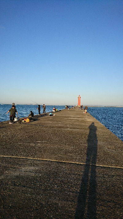 サゴシさんお久しぶりです(^^)