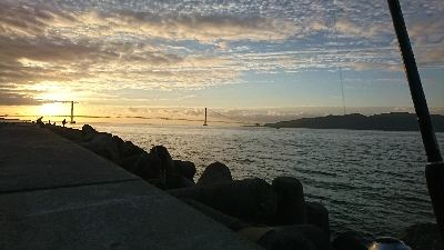 タチウオ 今日は厳しかったです