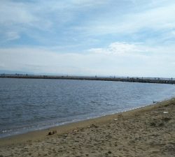 南芦屋浜西側石畳