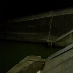 短時間アジングのつもりが