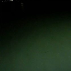 ナイトチニング