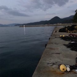 エギング その4