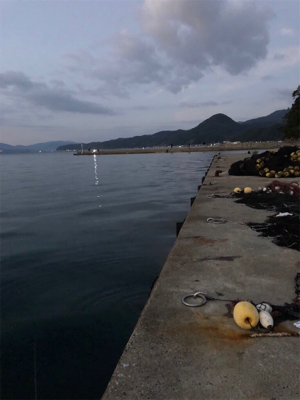 エギング その4