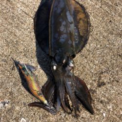 今日は、絶好調^_^