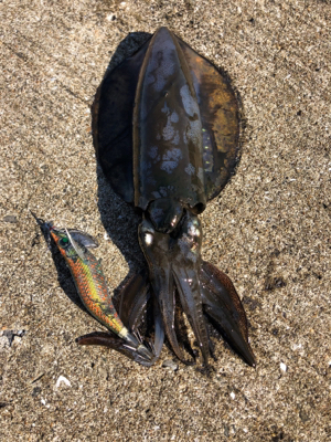 今日は、絶好調^_^