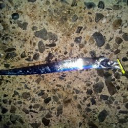 青物狙いで夕暮れまで@須磨海岸