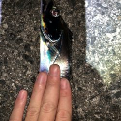 仕事終わりワインド