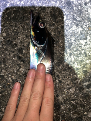 仕事終わりワインド