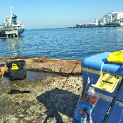 サビキ=ボウズなし