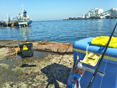 サビキ=ボウズなし