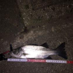 暗くなってからが勝負⁉︎