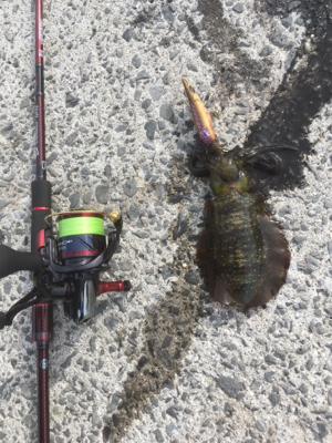 結構な濁りでした