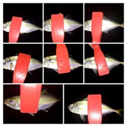 アジンガー1838〜2015