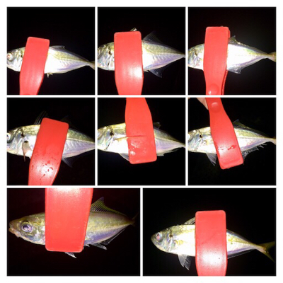 アジンガー1838〜2015