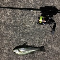 二夜連続アジング