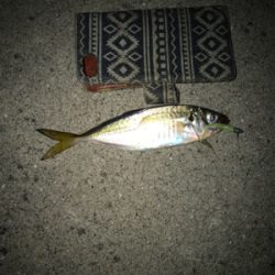 釣友会メンバーと