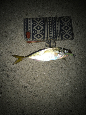 釣友会メンバーと